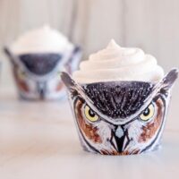 Owl Party Ideas