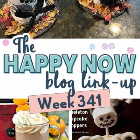Image for The Happy Now Blog Link Up #341