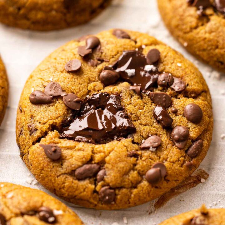 Close up of a vegan pumpkin chocolate chip cookie with glossy melted chocolate chunks.