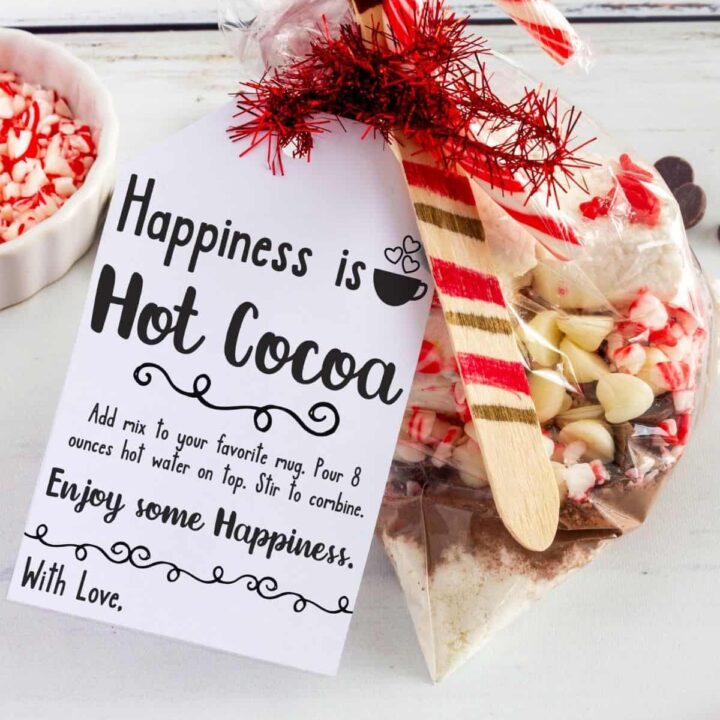 Christmas themed DIY hot chocolate gift.