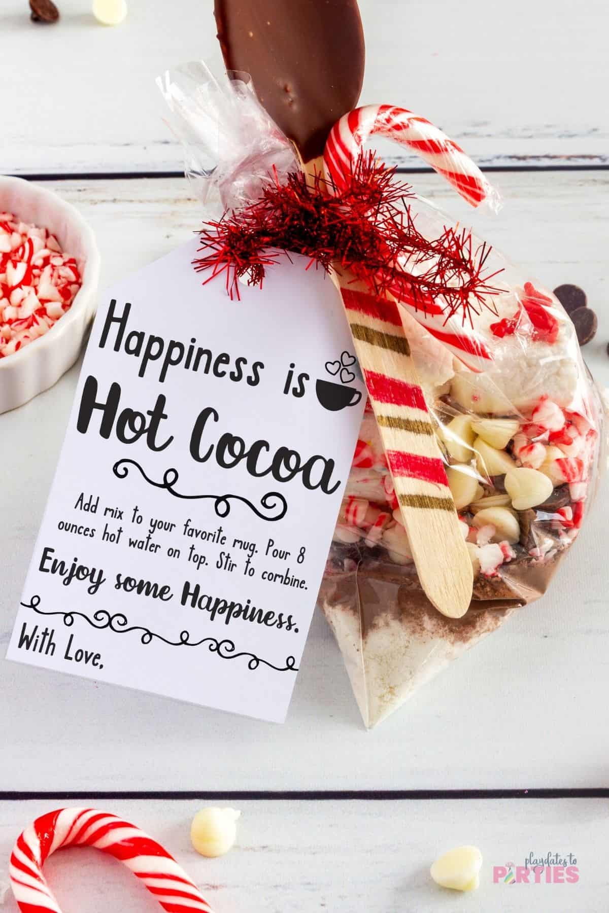 Christmas themed DIY hot chocolate gift.
