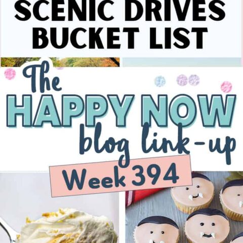 Image for The Happy Now Blog Link Up #394