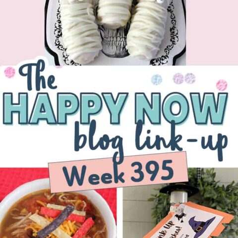 Image for The Happy Now Blog Link Up #395