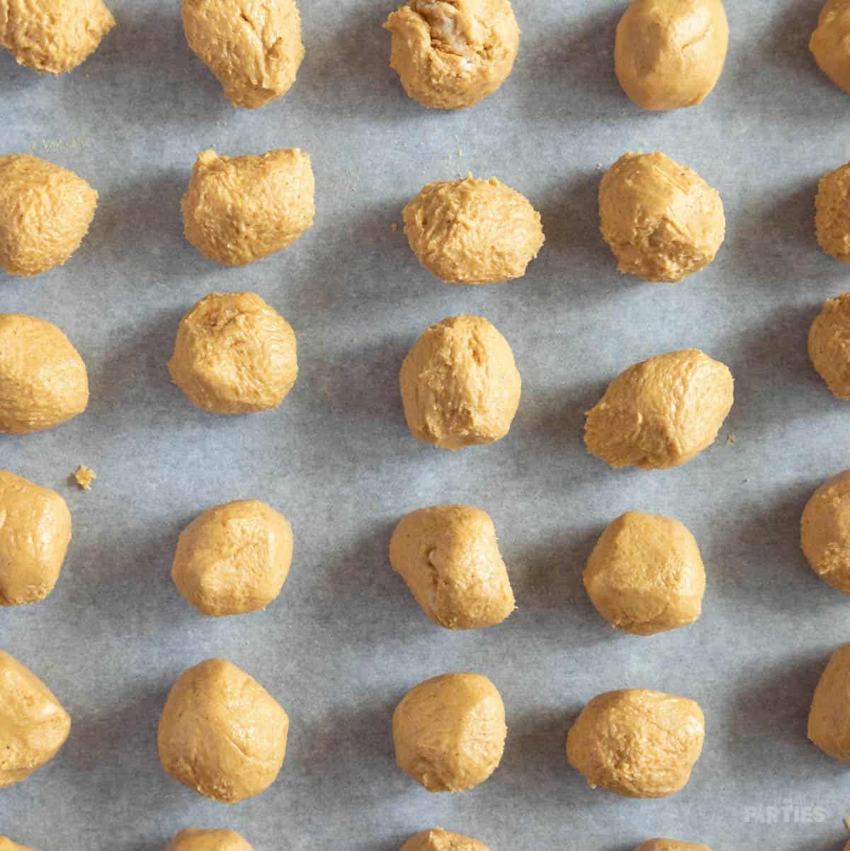 Peanut butter balls on a parchment covered pan.