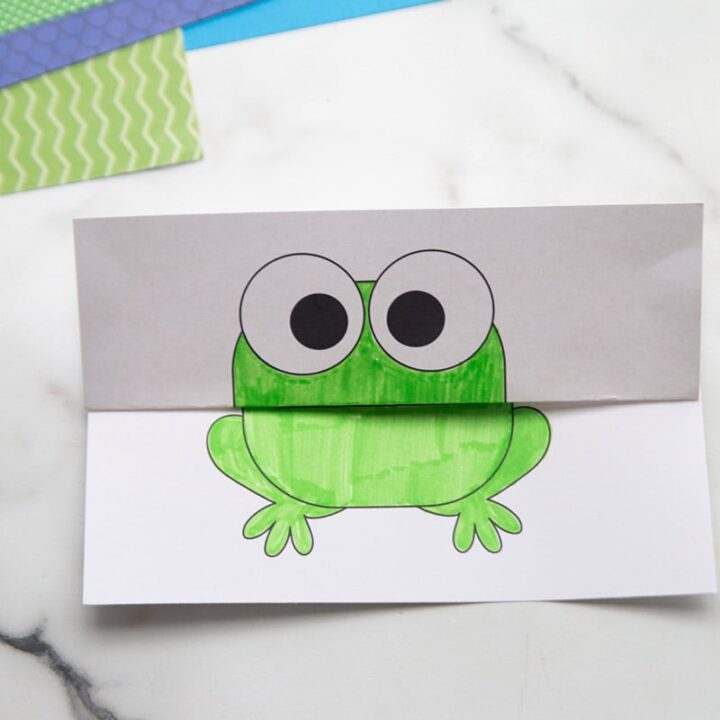 Image for Frog Folding Surprise