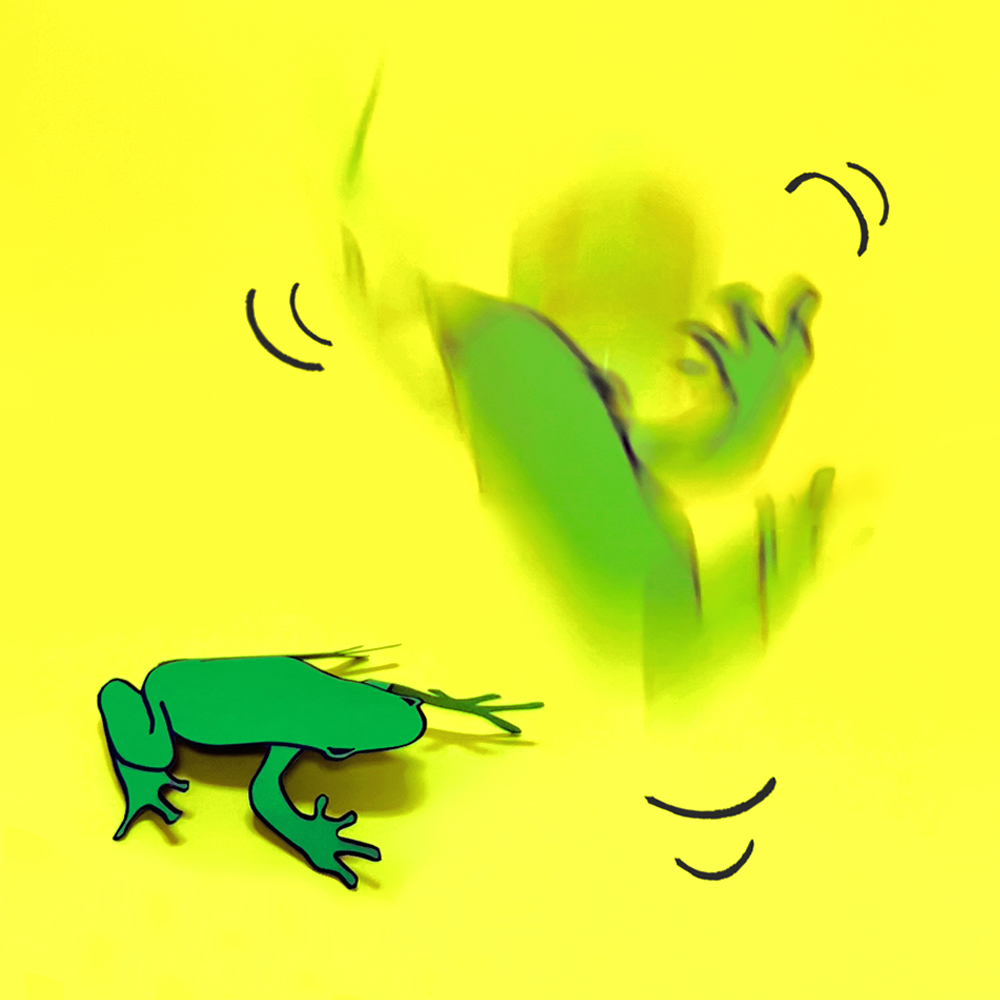Image for Make Hopping Paper Frog Spring Peeper Poppers!