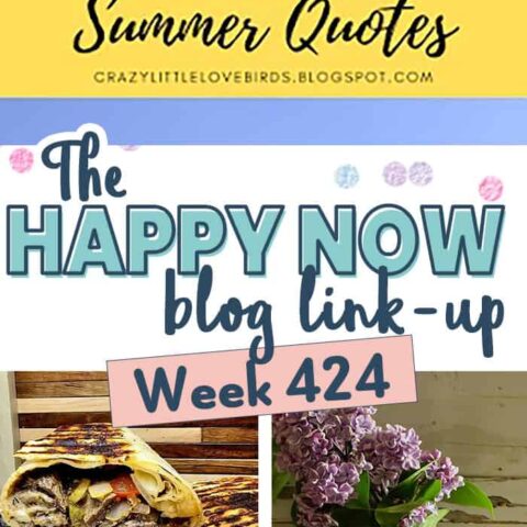 Image for The Happy Now Blog Link Up #424