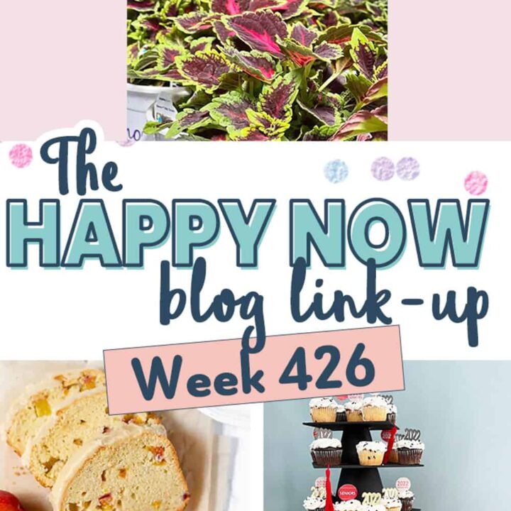 Image for The Happy Now Blog Link Up #426