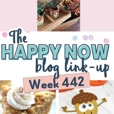 Image for The Happy Now Blog Link Up #442