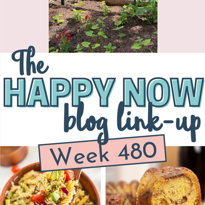 Image for The Happy Now Blog Link Up #480