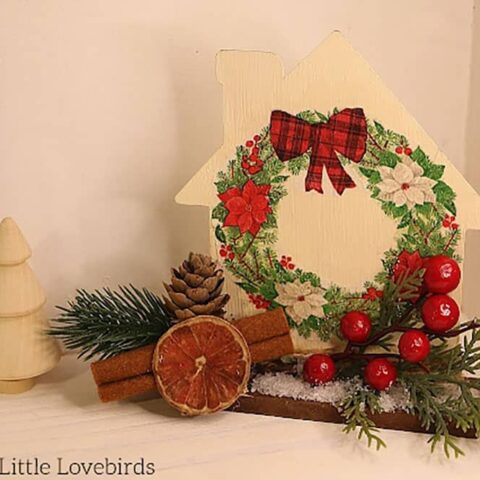 Image for Crazylittlelovebirds